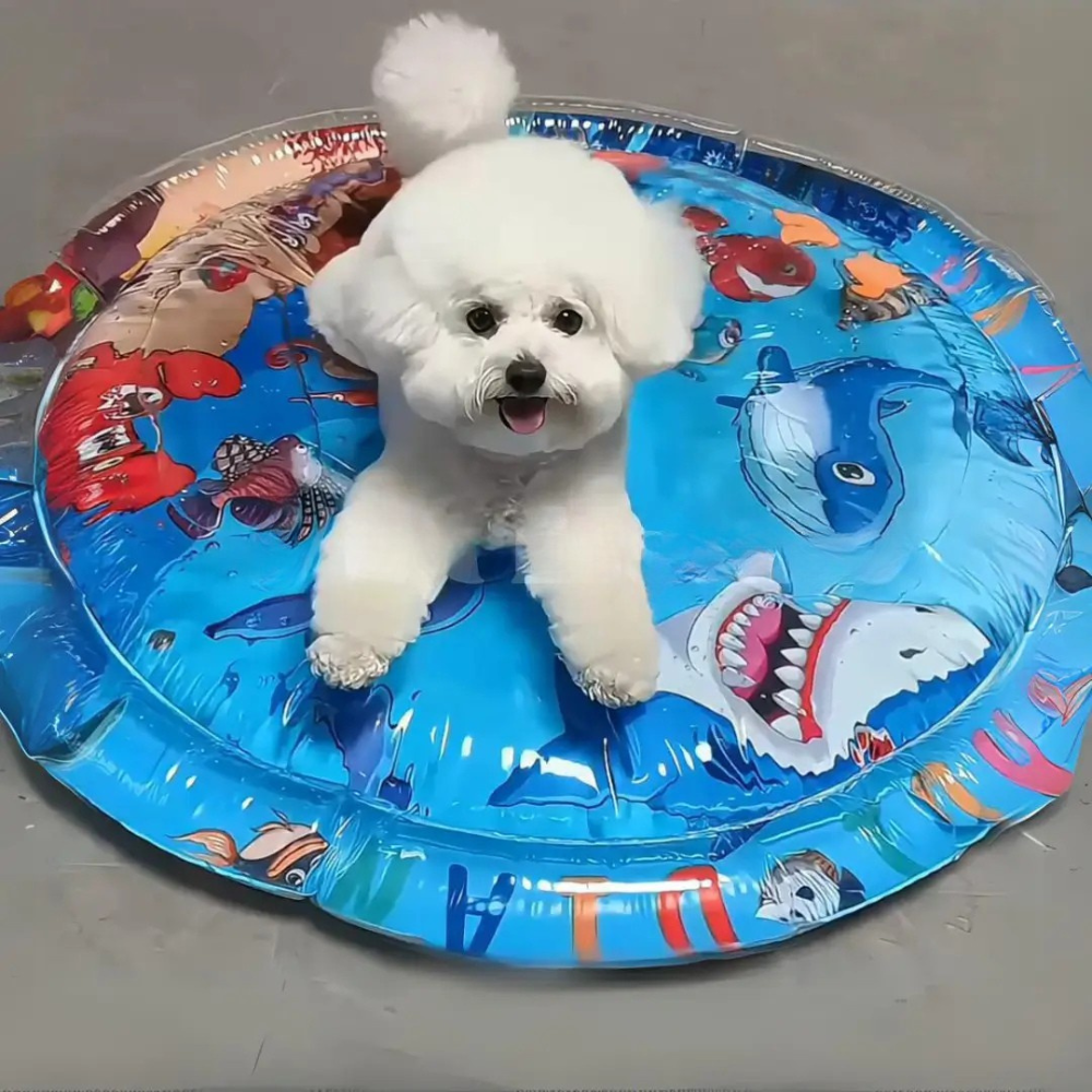 AquaPfoten | Lustige und Interaktive Hundespritzmatte