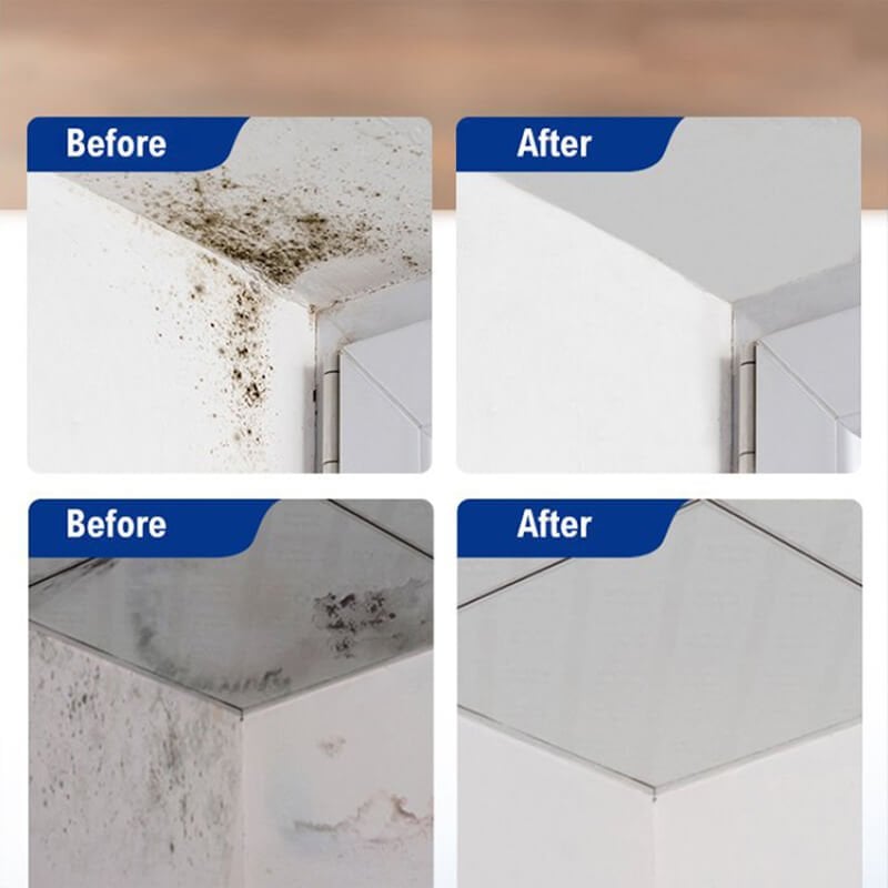 MoldFree | 1 + 1 GRATIS