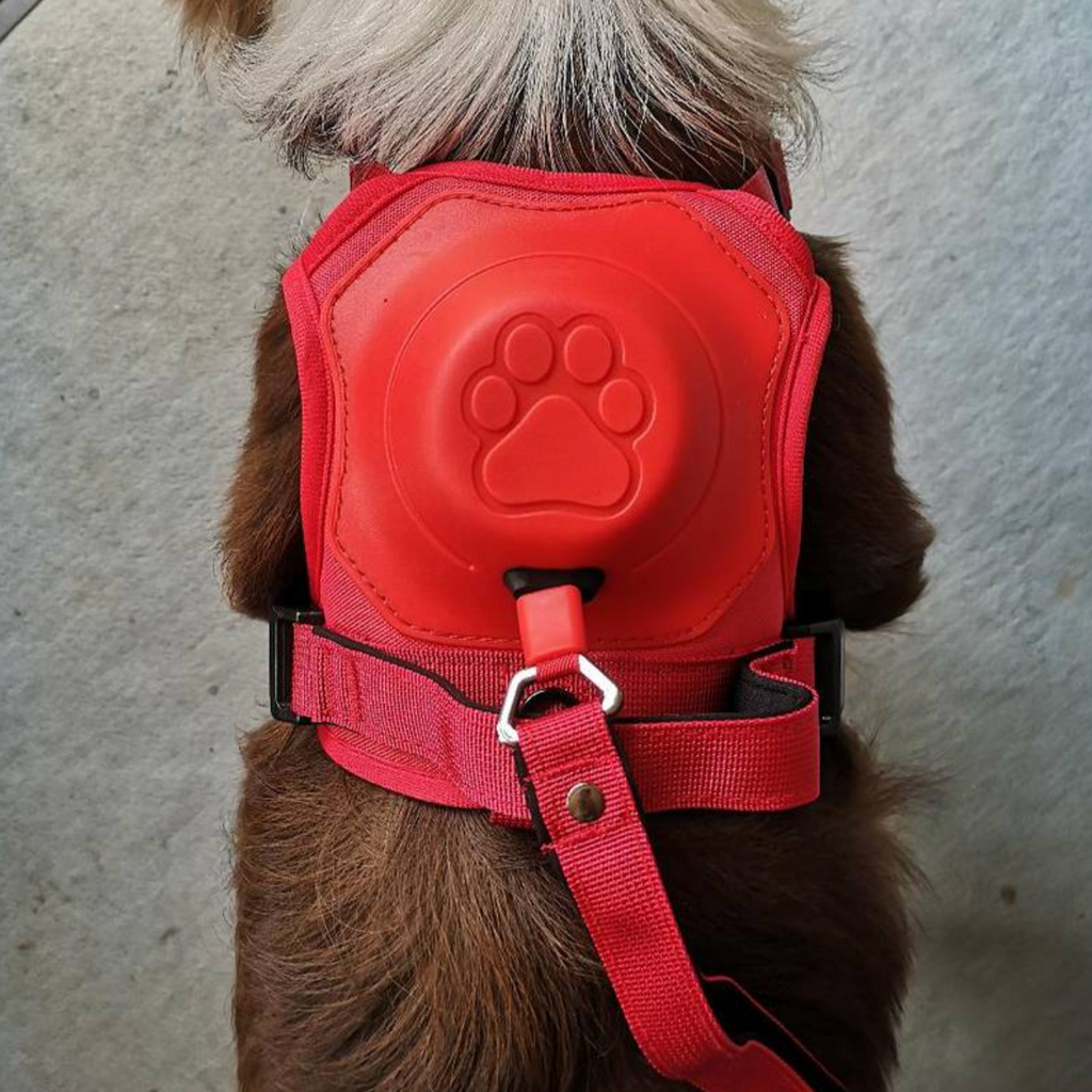 DoggyKings | 3 in 1 Hundegeschirr mit integrierter Leine