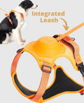 DoggyKings | 3 in 1 Hundegeschirr mit integrierter Leine