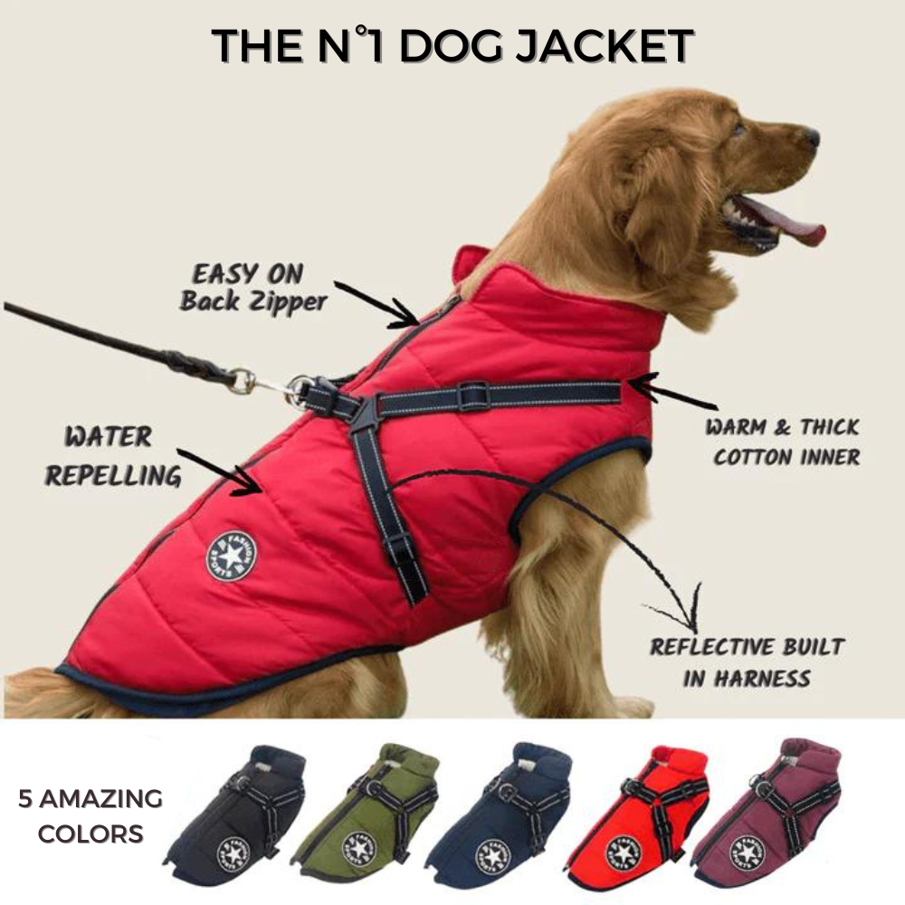 Hund 3-in-1 Jacke