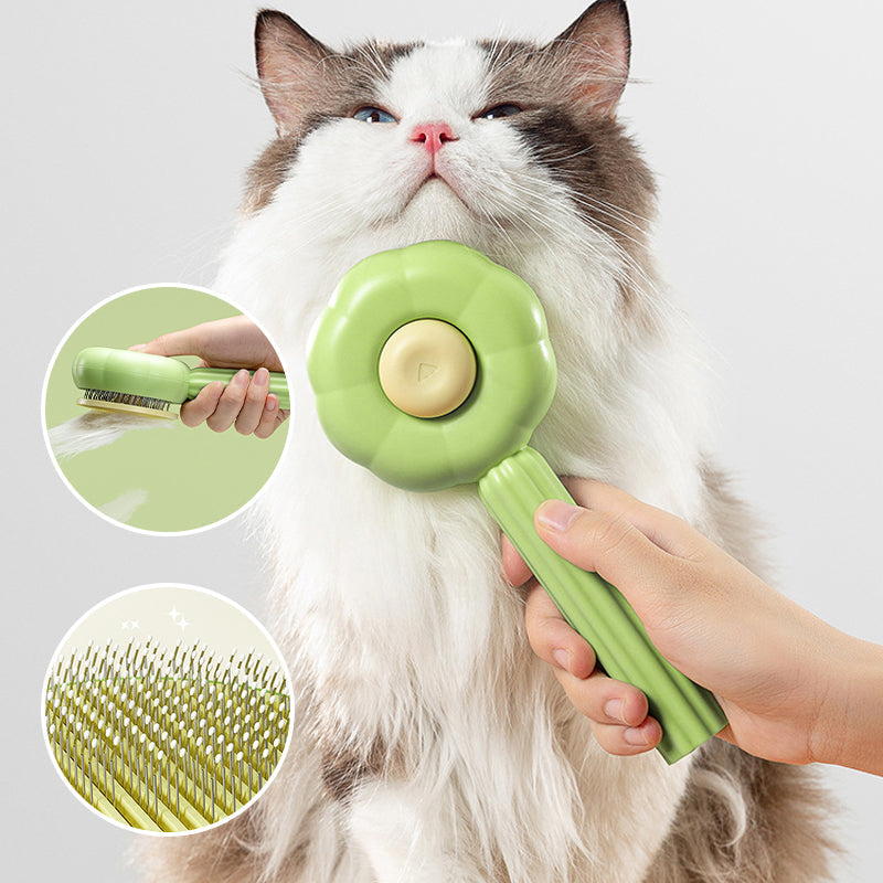 CleanPaws | 1 + 1 GRATIS