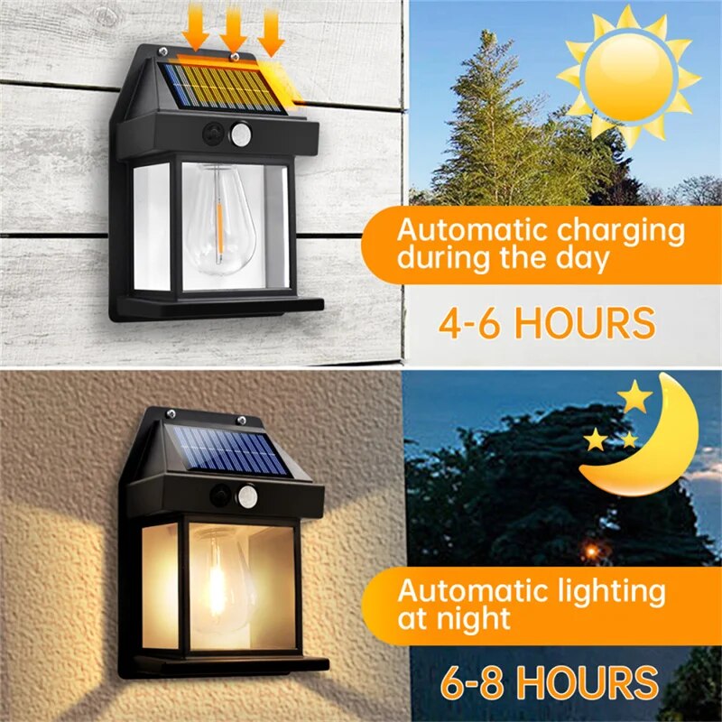 SolaraSense | 1 + 2 GRATIS