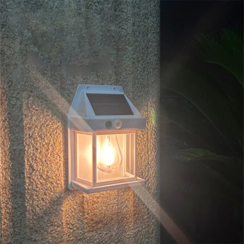 SolaraSense | 1 + 2 GRATIS