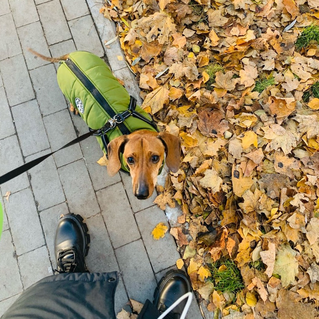 Hund 3-in-1 Jacke