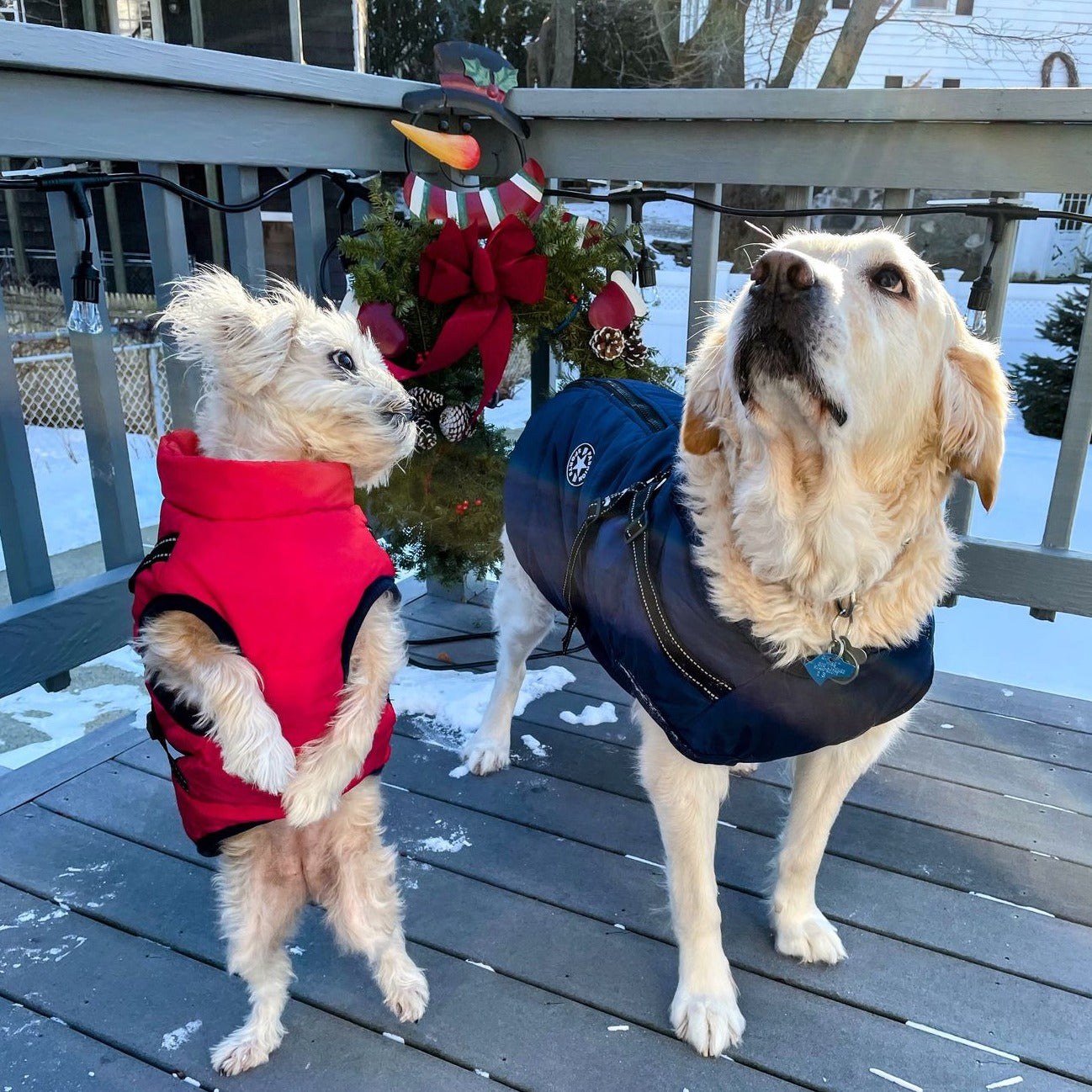 Hund 3-in-1 Jacke