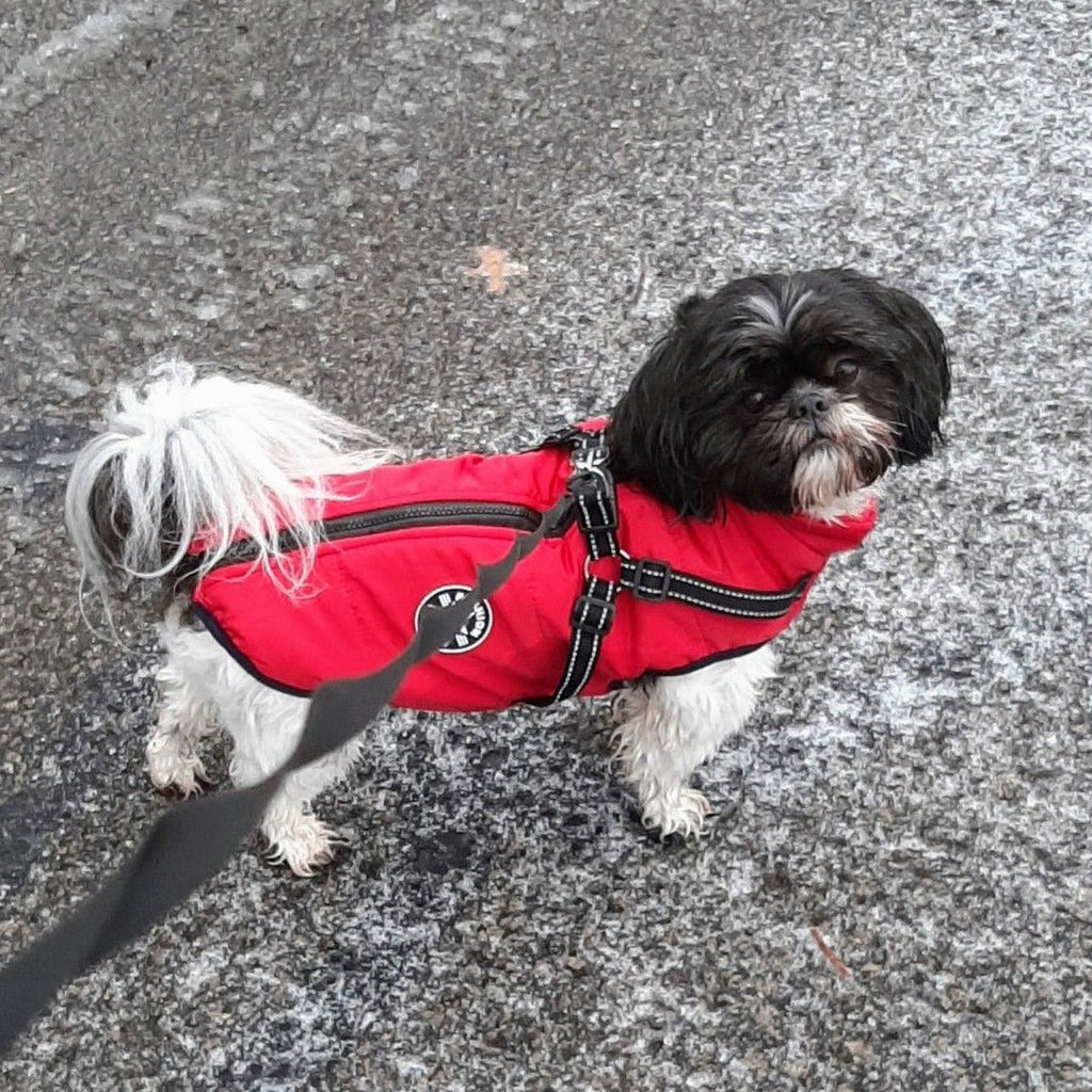 Hund 3-in-1 Jacke