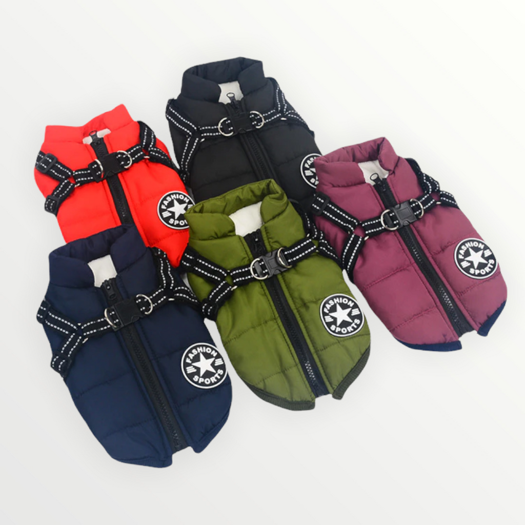 Hund 3-in-1 Jacke