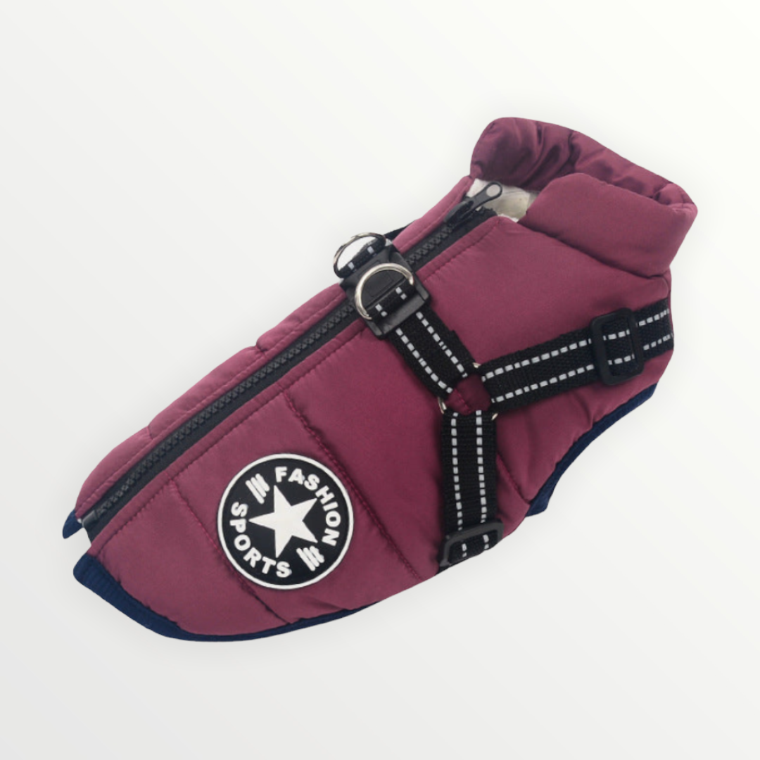 Hund 3-in-1 Jacke