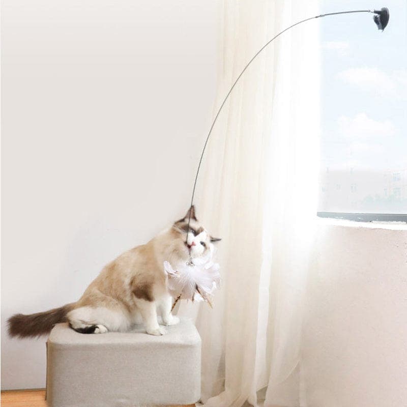 KatzenVogel Spielset