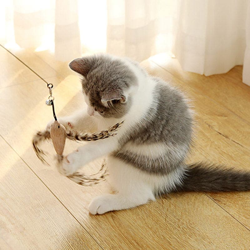 KatzenVogel Spielset