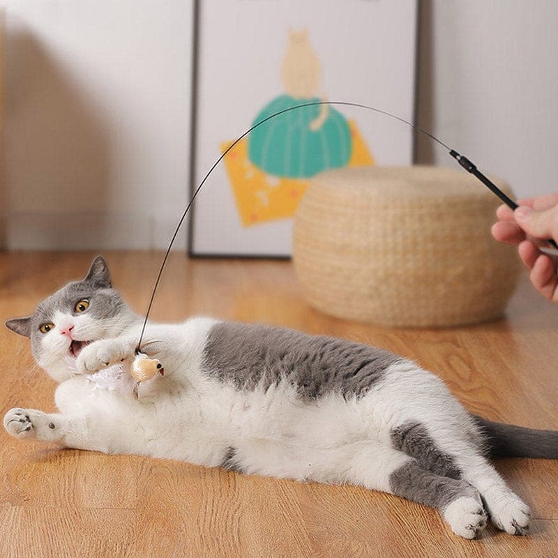 KatzenVogel Spielset