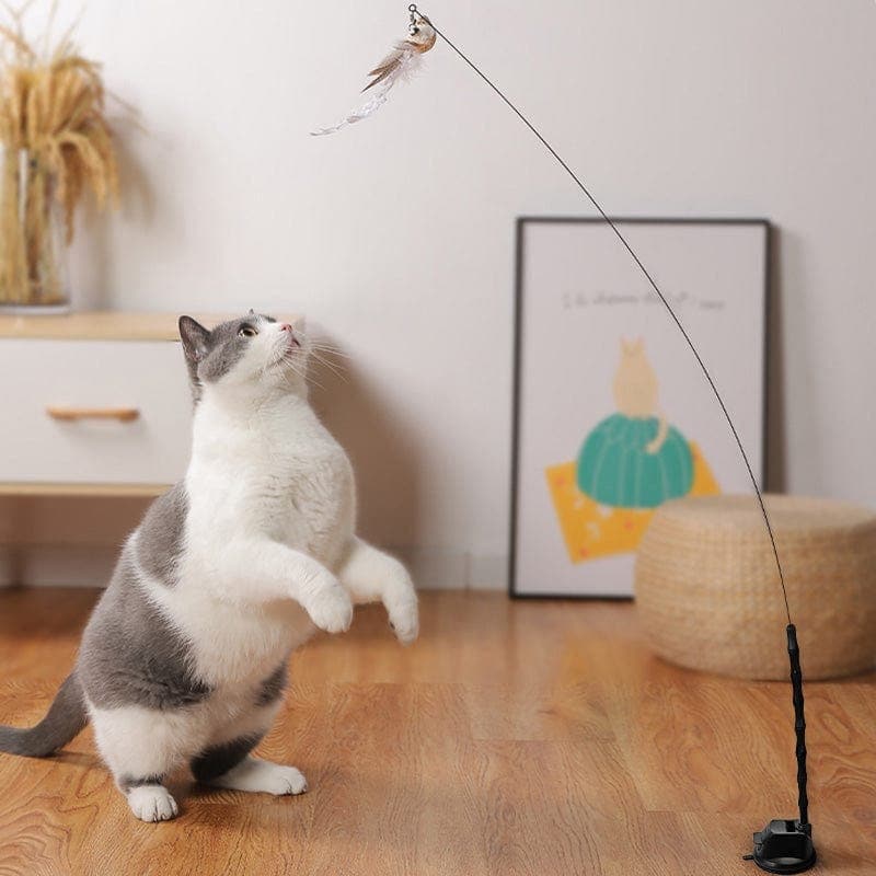 KatzenVogel Spielset